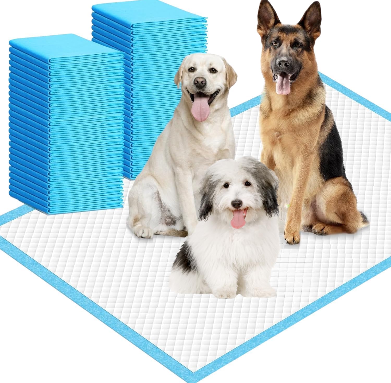 Dogs sitting with large disposable training pads